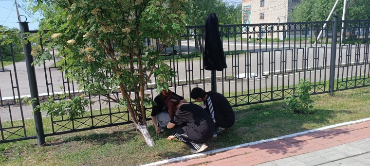 ТРУДОУСТРОЙСТВО УЧАЩИХСЯ В ЛЕТНИЙ ПЕРИОД.